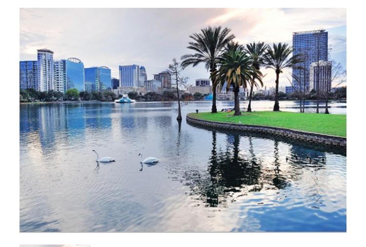 College Park-Orlando 5Star Villa Oasis - Home Away From Home - Quiet Neighborhood-Private Botanical Courtyard - Mins From Eola,Dt, Winter Park - Free Parking & Ev Plug In Екстериор снимка